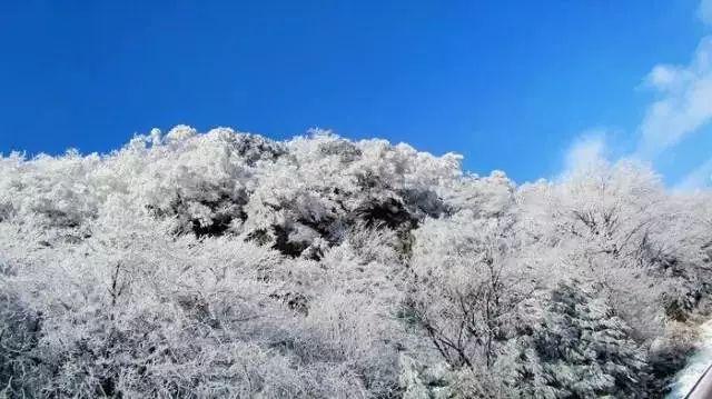 资本放缓追逐脚步 险企股东退出有何隐情?
