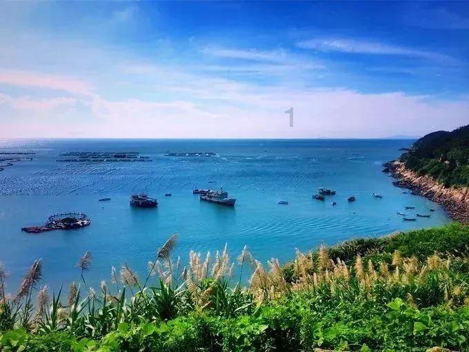 逃离危险禁地