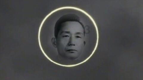 逗小猴开心系列165