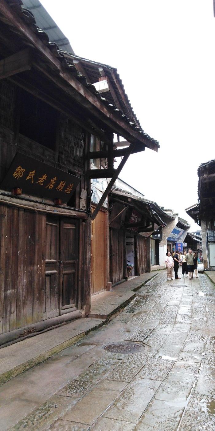 迷失在荒野
