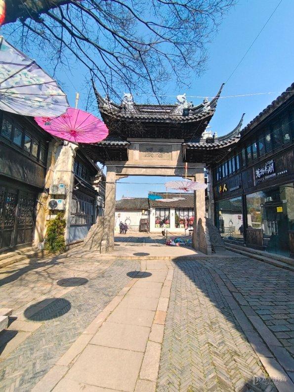 寻找萌小老虎