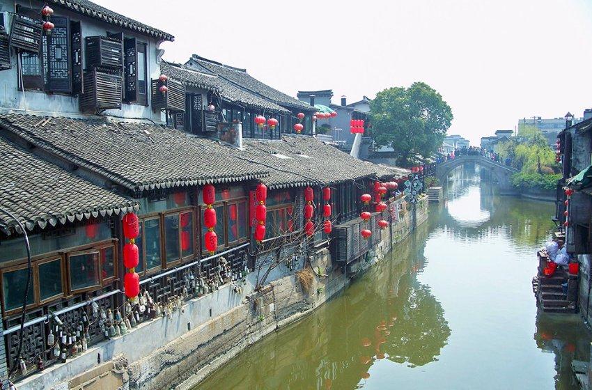 动物家园守卫战
